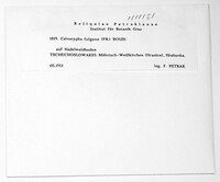 Caloscypha fulgens image